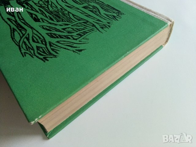 Разкази за джунглата - Сборник  - 1973г., снимка 8 - Художествена литература - 41066862