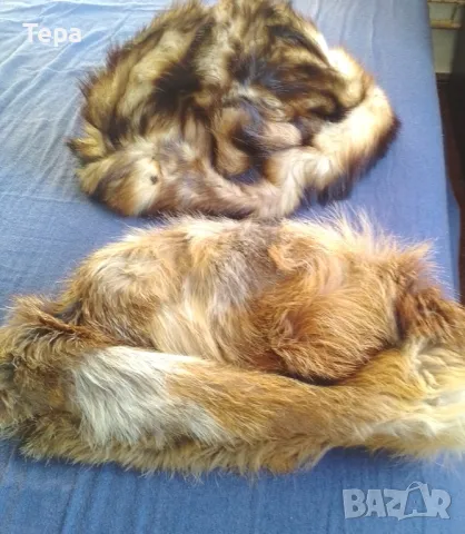 Кожени шапки и яки, снимка 5 - Други - 48861000