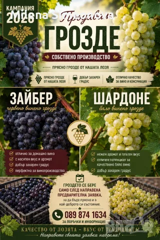 Продавам грозде Шардоне 