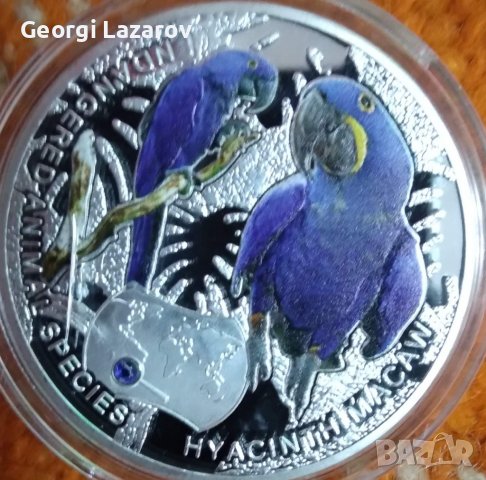 1000 квача Замбия 2014 папагали, снимка 3 - Нумизматика и бонистика - 39006425