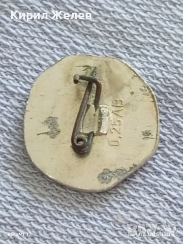 Лот значки 6 броя стари редки ЛЕВ ТОЛСТОЙ за КОЛЕКЦИЯ ДЕКОРАЦИЯ 25318, снимка 8 - Колекции - 50864077