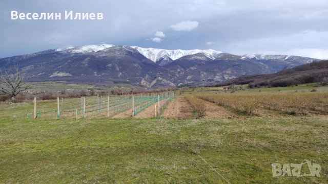 Панорамен имот до язовир с гледка към Стара планина и Средна гора, снимка 6 - Парцели - 53561389