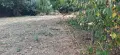 Дворно място в село Манолско Конаре , снимка 6