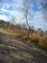 Парцел в С. Храбарско (Махала Беличка ръка), снимка 6
