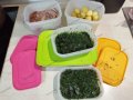 Tupperware  кутии за фризер, снимка 4