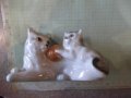 Котки порцеланови, снимка 9