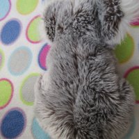 Плюшена играчка коала, снимка 3 - Плюшени играчки - 44351080