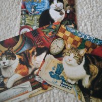 Красиви картички с изображения на котки, снимка 1 - Колекции - 35699135