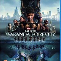 BLACK PANTHER: WAKANDA FOREVER - Blu Ray без БГ субтитри, снимка 1 - Blu-Ray филми - 41665536