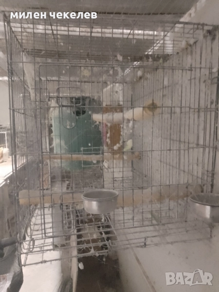 клетка за папагали оборудвана развъдна, снимка 1