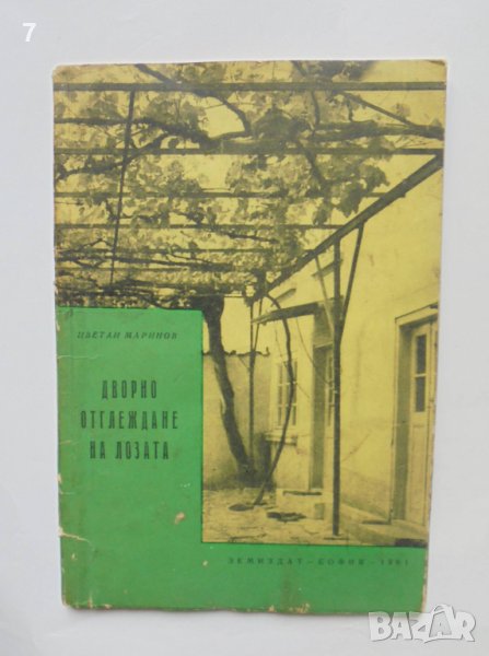 Книга Дворно отглеждане на лозата - Цветан Маринов 1961 г., снимка 1