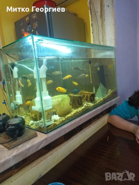 аквариум за рибки , снимка 1