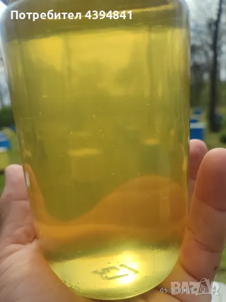 Акациев пчелен мед, снимка 1