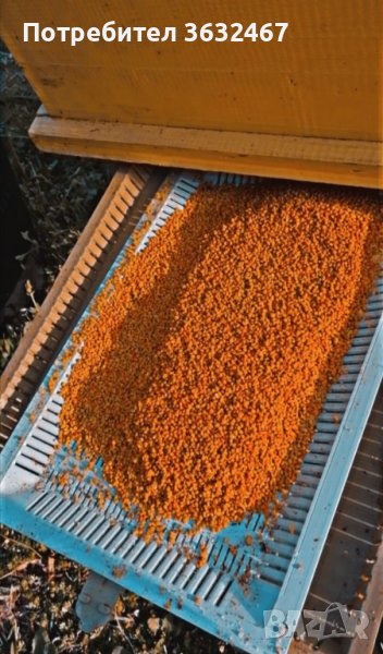 Продавам пчелен прашец реколта 2023 г. 25лв.кг , снимка 1