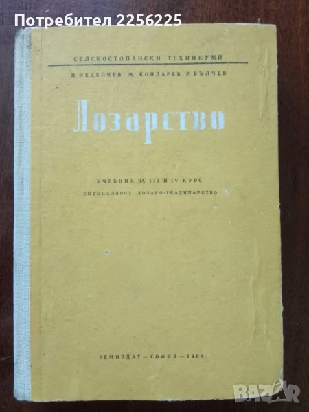 Лозарство, снимка 1