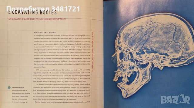 London Bodies. The Changing Shape of Londоners From Prehistoric Times to the Present Day, снимка 3 - Енциклопедии, справочници - 53748227