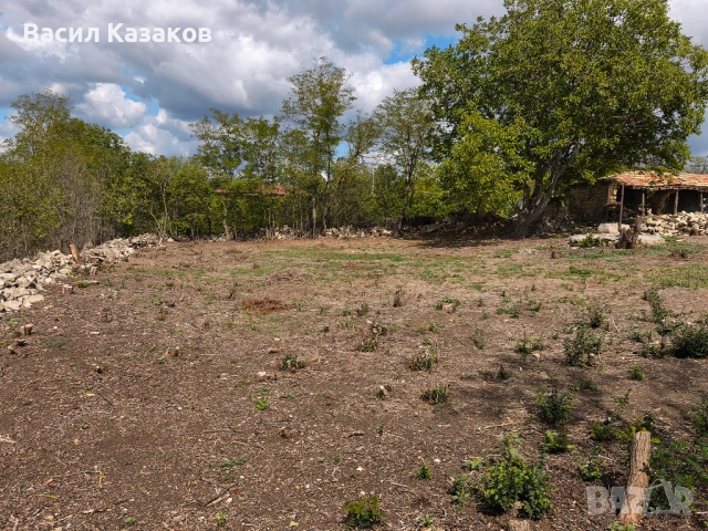 УПИ 2440кв.м. с. Момчилово с ток и вода, снимка 7 - Парцели - 52636714