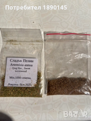 Сладък Пелин.Продавам семена "Сладък Пелин", снимка 2 - Сортови семена и луковици - 53780094