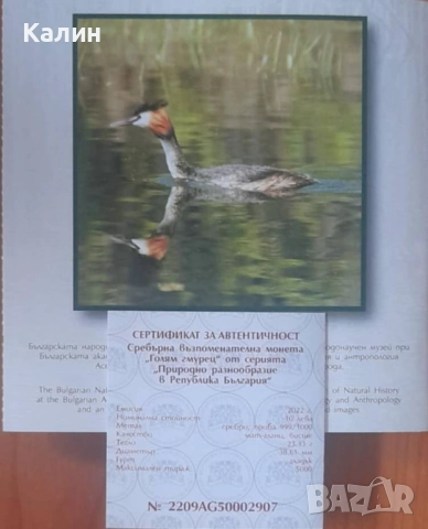 Сребърна възпоминателна монета 10 лв. 2022 г. „Голям гмурец”, снимка 3 - Нумизматика и бонистика - 52885565