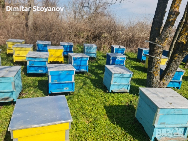 Продавам пчелни кошери Дадан-Блат 12 рамкови, снимка 4 - За пчели - 53711997