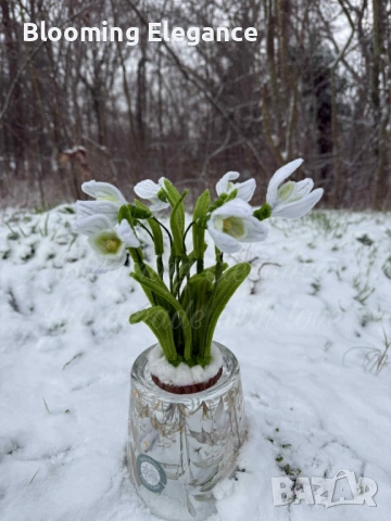 Вечни кокичета, снимка 4 - Подаръци за жени - 53033309