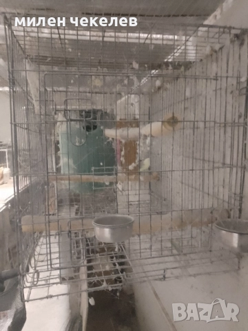 клетка за папагали оборудвана развъдна, снимка 1
