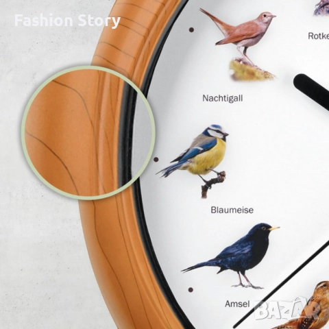 Стенен часовник с автентични птичи песни – природа във всеки час, снимка 6 - Стенни часовници - 51912804