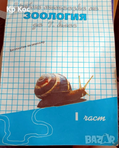 Учебници за средния курс и по-малките, езикови, речници, антикварни, снимка 6 - Учебници, учебни тетрадки - 53114314