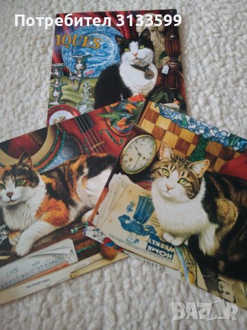 Красиви картички с изображения на котки в Колекции в гр. Сливен -  ID35699135 — Bazar.bg