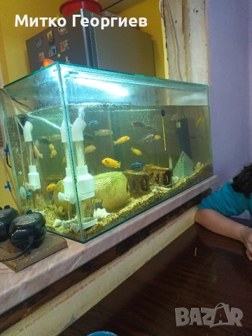 аквариум за рибки 