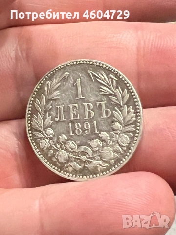 1 лев 1891
