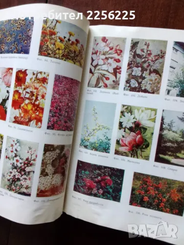 "Книга за всеки дом", снимка 6 - Специализирана литература - 50161738