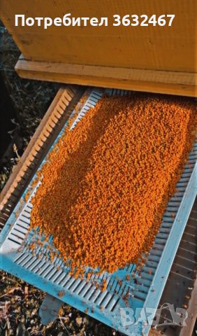Продавам пчелен прашец реколта 2023 г. 25лв.кг , снимка 1