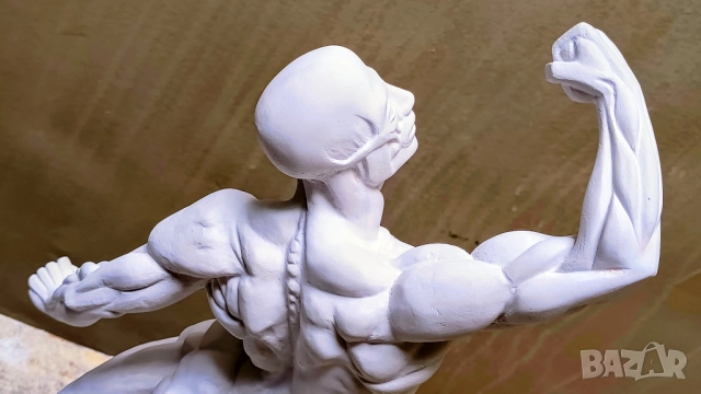 Екорше / Анатомична фигура / Гипсов модел, снимка 2 - Други - 51458325