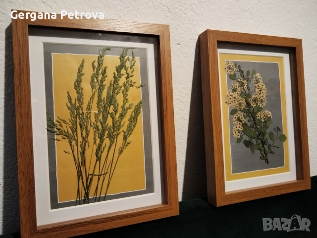 Комплект 2 бр. дървени рамки със стъкло с естествен хербарий., снимка 1