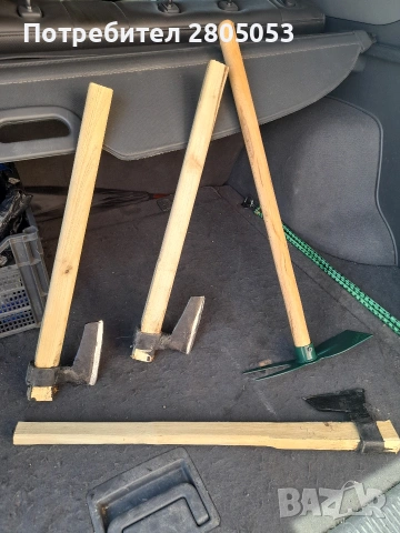 брадвичка шумарка 