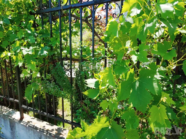 Дава под Наем 1-СТАЕН, До Метростанция и НБУ, София, Овча купел, снимка 11 - Апартаменти - 49769921