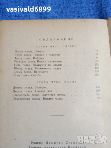 Иван Кржиж - Голяма самота , снимка 5 - Художествена литература - 53524371