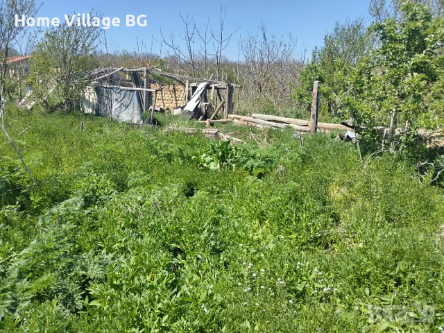 Голям парцел с постройки, с.Щипско, обл.Варна, снимка 18 - Парцели - 53230709