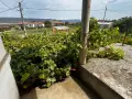 Наследствен имот за продажба от собствениците, с. Страцин., снимка 1