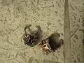 пръстени посребрени, снимка 2