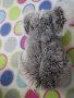 Плюшена играчка коала, снимка 3