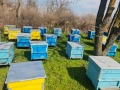 Продавам пчелни кошери Дадан-Блат 12 рамкови, снимка 4