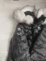 Дамско зимно топло яке, снимка 3