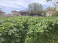 Фрезоване, косене, рязане на клони и др., снимка 7