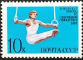 СССР, 1987 г. - самостоятелна чиста марка, спорт, 3*10, снимка 1