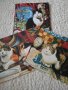 Красиви картички с изображения на котки, снимка 1 - Колекции - 35699135
