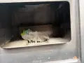 260955  печка на дърва / камина  цена 174 евро         без водна риза (няма за радиатори)   0899 29 , снимка 2