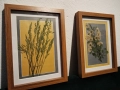 Комплект 2 бр. дървени рамки със стъкло с естествен хербарий., снимка 1