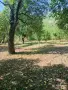 Продавам ПАРЦЕЛ в с.Типченица област Враца , снимка 8
